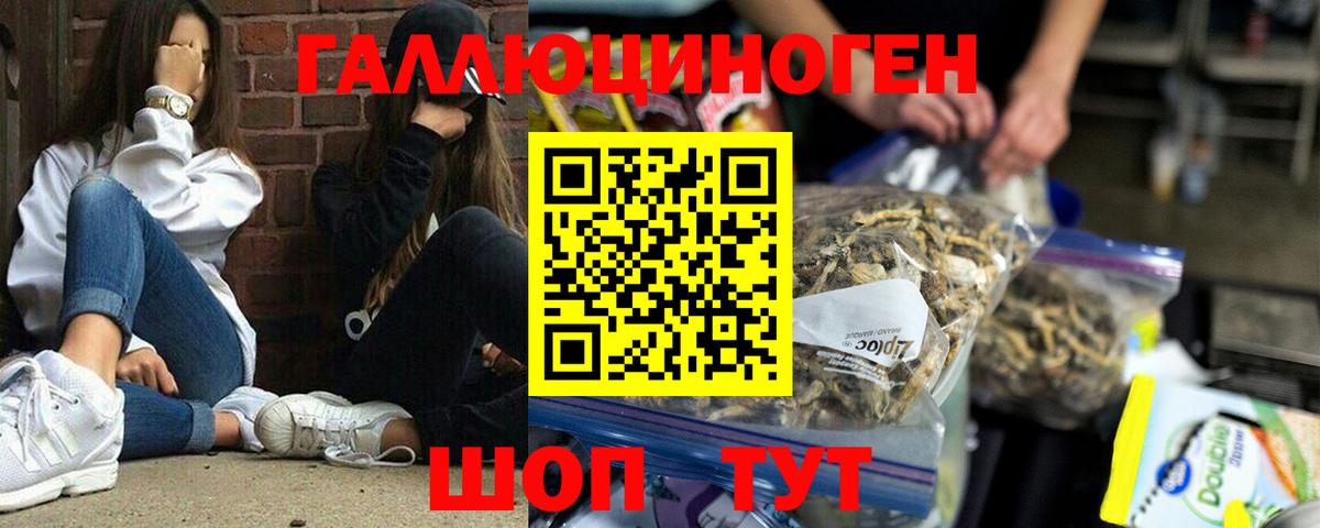Псилоцибиновые грибы MAGIC MUSHROOMS  Вход с VPN  Добрянка 